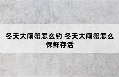 冬天大闸蟹怎么钓 冬天大闸蟹怎么保鲜存活